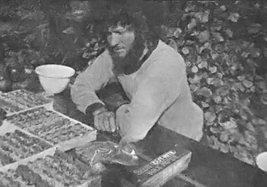 Natural Candy Factory Image